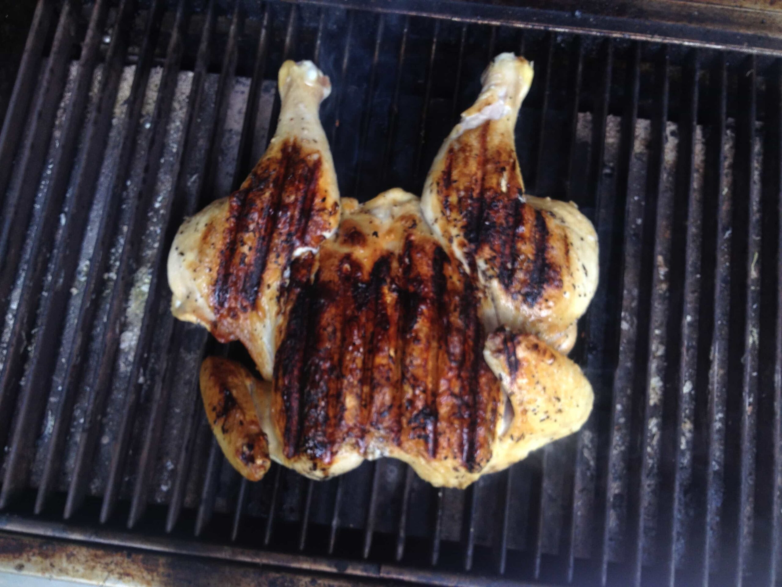 tec sterling grill