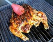 TEC Grills - How to Spatchcock a Chicken - Brush with BBQ Sauce