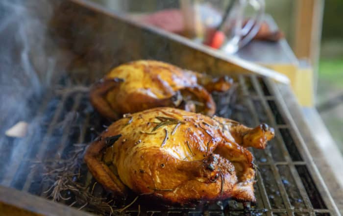 TEC Grills Pomegranate and Citrus Smoked Cornish Hens - On the Grill